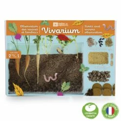 Terrarium : Observation Des Racines Et Vers De Terre
