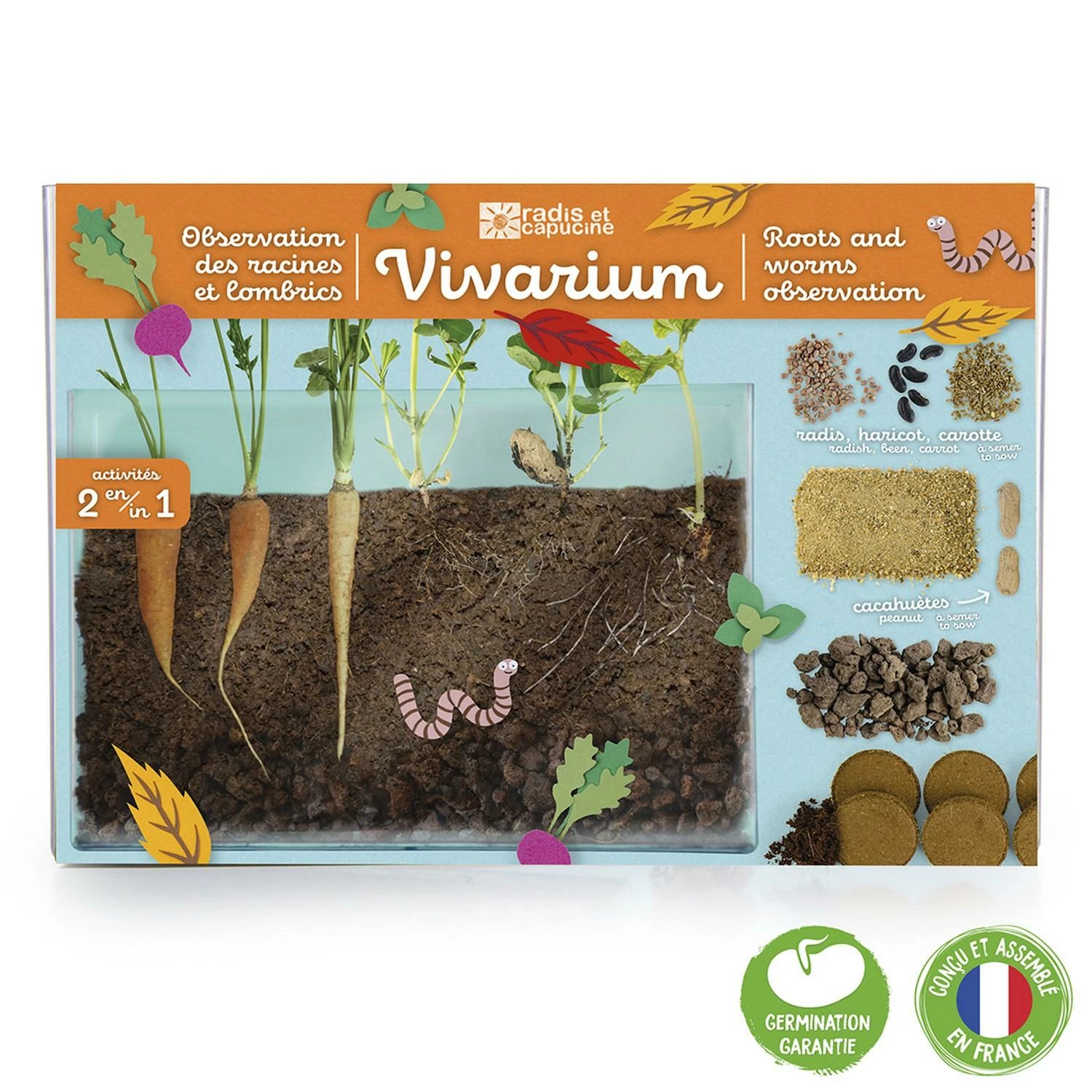 Terrarium : Observation Des Racines Et Vers De Terre