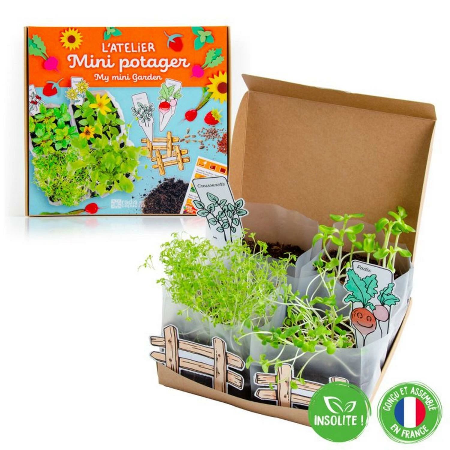 Kit Pour Jardinage : L'Atelier Mini Potager