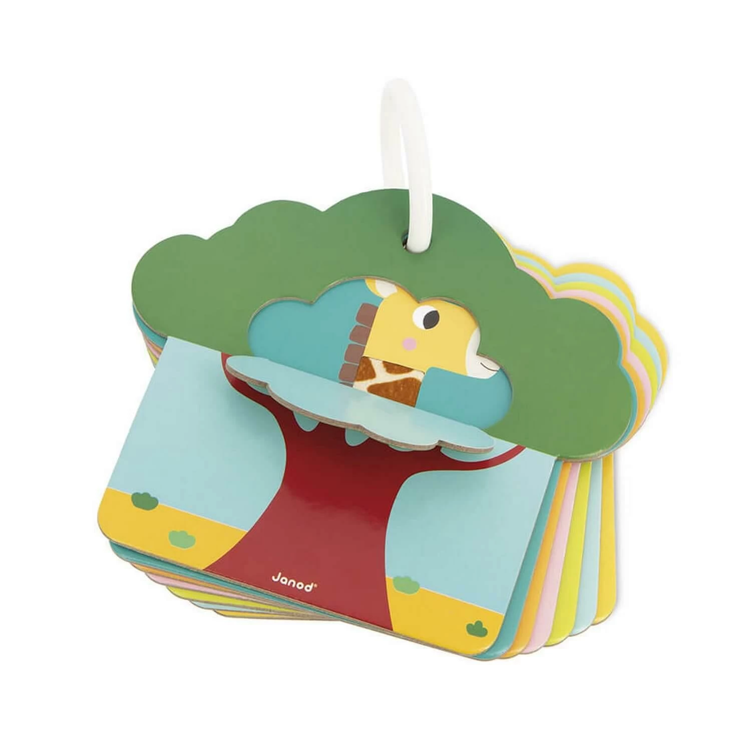 Janod Cartes Tactiles Savane â Image 2