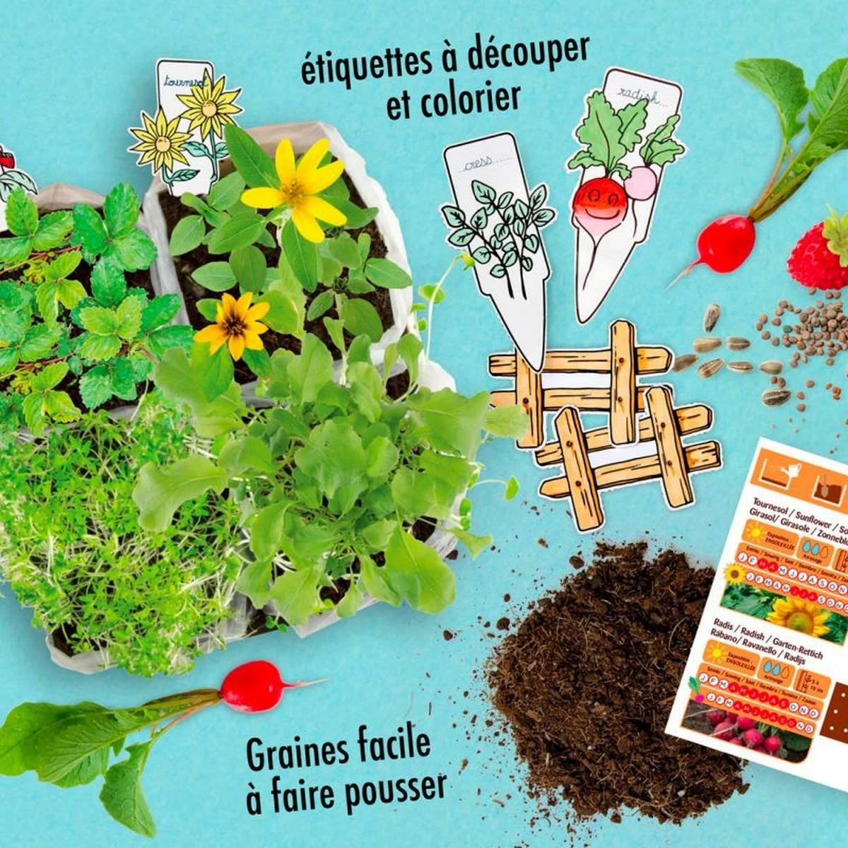Kit Pour Jardinage : L'Atelier Mini Potager â Image 3